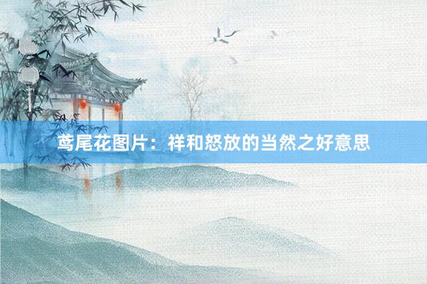 鸢尾花图片：祥和怒放的当然之好意思